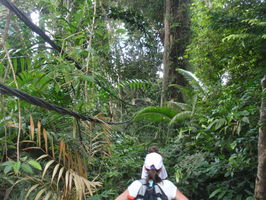 Cesta džunglí na Monkey Beach podél elektrického vedení ... hic a vlhkost ... málem jsme nedošli:-) | Malaysia - Tioman III. - Monkey Beach - 23.8.2010